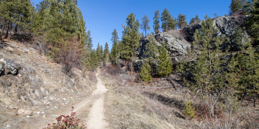 CCSAR Rescues Injured Mushroom Hunter in Medicine Bow Forest