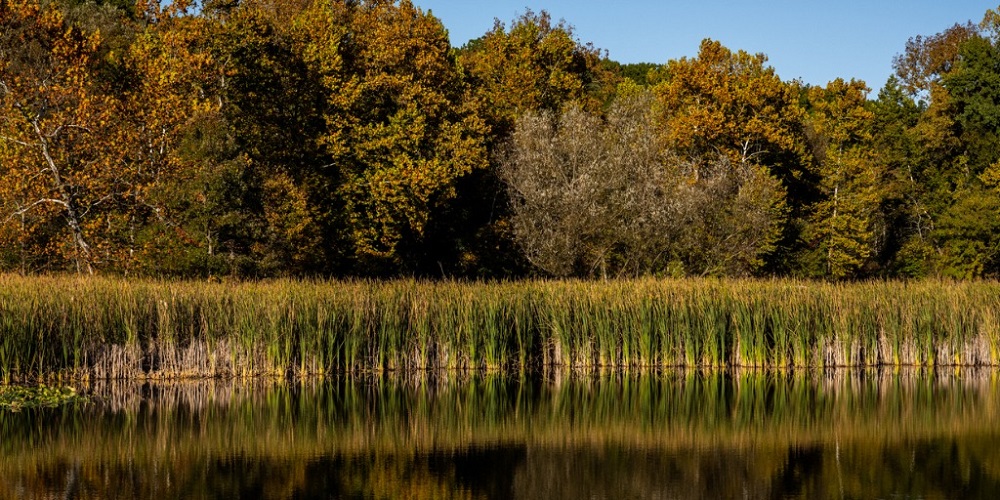 Boat Accident Claims The lives of Father and Son in Forks