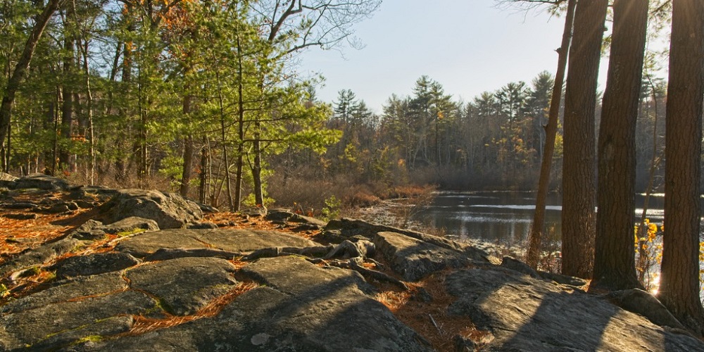 MCSOSAR Rescues Lost Hiker on Mount Tam
